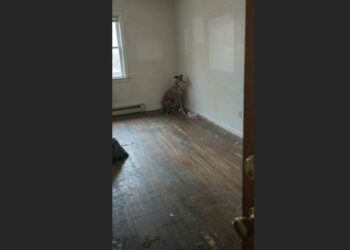 They Moved Out and Left Their Greyhound Behind—Four Days Later, She Was Still Watching the Door