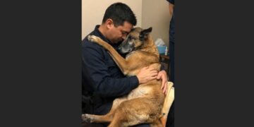 The 11-Year-Old K9 Could Barely Lift His Head—Then He Put Both Paws Around the Officer Who Had Been His Partner for Nine Years