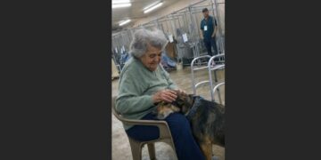 Charlie Had Been Adopted and Returned Twice for Being “Too Needy”—Then a Widow Walked In Looking for a Dog Who Never Wanted to Leave Her Side