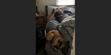 Nine Handlers Passed Over the Smallest K9 Puppy—Five Years Later, He Took Down the Gunman Standing Over His Partner