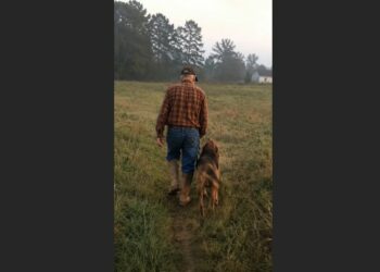 One Day After His Owner’s Funeral, Hunter Was Surrendered to a Shelter—Then a Widowed Farmer Sat Outside His Kennel and Simply Stayed