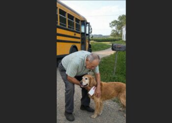 On My Last Day Driving Route 17, an Old Golden Retriever Was Waiting at the Final Stop With a Note Tied to His Collar