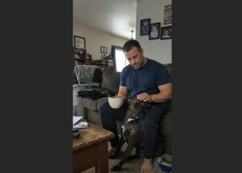 Internal Affairs Said I Abandoned an Active Manhunt for My Wounded K9—But Titan Was Bleeding Out at My Feet