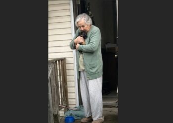 My 75-Year-Old Mother Had Barely Left Home Since Dad Died—Then She Opened Her Door and Found a German Shepherd Puppy Waiting on the Porch