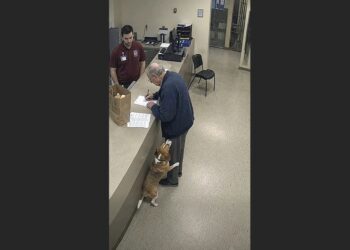At 81, Gerald Brought His Beagle to the Shelter With a Paper Bag and Seven Years of Instructions