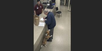 At 81, Gerald Brought His Beagle to the Shelter With a Paper Bag and Seven Years of Instructions