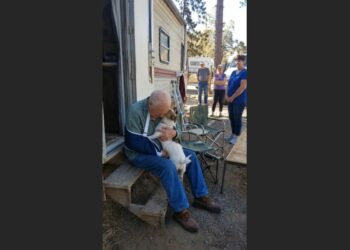 The Little Dog Ran Alone to the Campground Office—Then Kept Looking Back Until Someone Finally Followed Him