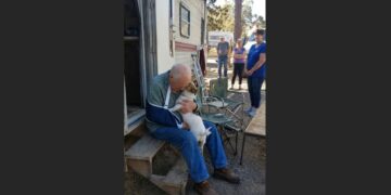 The Little Dog Ran Alone to the Campground Office—Then Kept Looking Back Until Someone Finally Followed Him