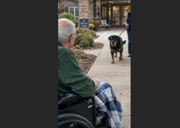 Walter Had Waited Eight Years to See Zeus Again — Neither of Them Was Young Anymore