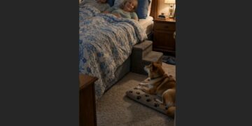 They Were Told Kenji’s First Night Might Be Hard — Then He Climbed the Little Stairs