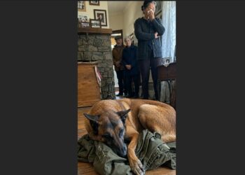For Five Days, Ranger Wouldn’t Leave Daniel’s Old Field Jacket — Then His Family Found What Was Inside