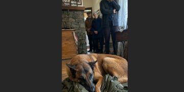 For Five Days, Ranger Wouldn’t Leave Daniel’s Old Field Jacket — Then His Family Found What Was Inside