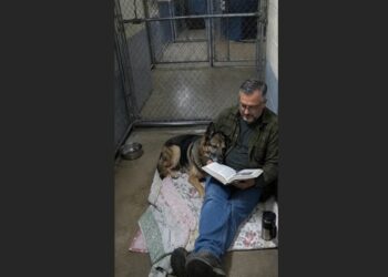 Cooper Had Spent Years Avoiding People — Then One Night, He Chose to Lean Against Daniel
