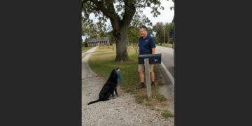 For Nearly Seven Years, Cooper Waited by the Mailbox Twice a Week — Then One Tuesday, Only His Blue Rope Toy Was There
