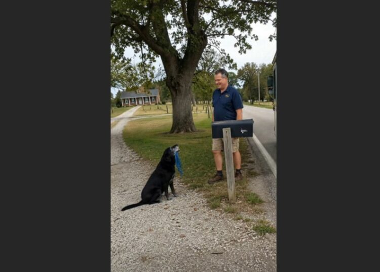 For Nearly Seven Years, Cooper Waited by the Mailbox Twice a Week — Then One Tuesday, Only His Blue Rope Toy Was There