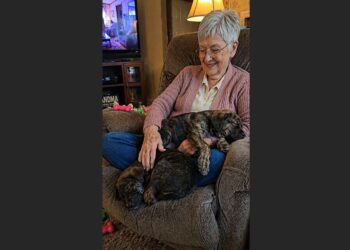 At 70, Eleanor Went to the Shelter Looking for One Older Dog — She Came Home With Two Puppies