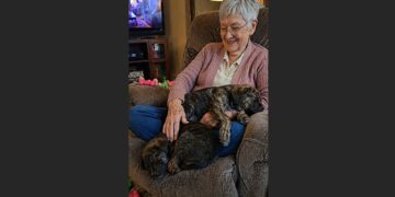 At 70, Eleanor Went to the Shelter Looking for One Older Dog — She Came Home With Two Puppies