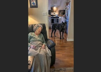Ruth Thought Bruno Was Waking Her for Attention—Then the Old Cane Corso Led Her Straight to the Smoking Stove