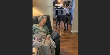 Ruth Thought Bruno Was Waking Her for Attention—Then the Old Cane Corso Led Her Straight to the Smoking Stove