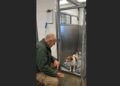 For Five Weeks, the Little Terrier Stayed Against the Back Wall — Then Frank Sat Down Outside His Kennel