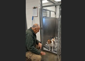 For Five Weeks, the Little Terrier Stayed Against the Back Wall — Then Frank Sat Down Outside His Kennel