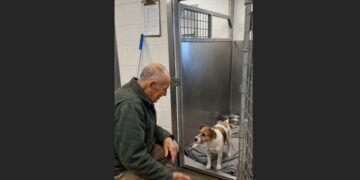 For Five Weeks, the Little Terrier Stayed Against the Back Wall — Then Frank Sat Down Outside His Kennel