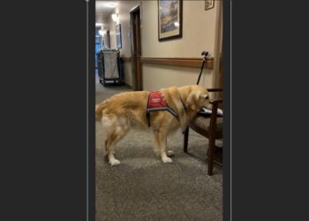 Every Tuesday, Henry Carried the Newspaper to Room 214—Then One Morning, the Chair Was Empty