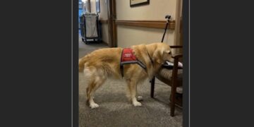 Every Tuesday, Henry Carried the Newspaper to Room 214—Then One Morning, the Chair Was Empty