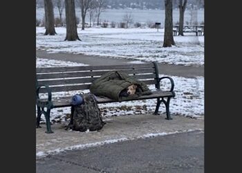 A Homeless Man Died on a Frozen Park Bench—Then Paramedics Found a Small Terrier Alive Beneath His Coat