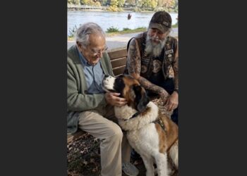 My Father With Alzheimer’s Asked to Pet a Scarred Old Saint Bernard—Then Two Lonely Men Began Finding Their Way Back Into the World