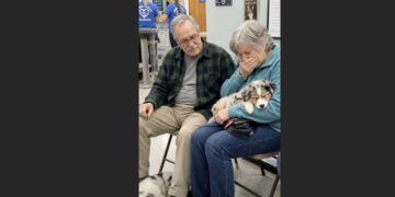 At 68, We Swore We Were Done Raising Puppies—Then Two Partially Sighted Littermates Changed Our Retirement Plans