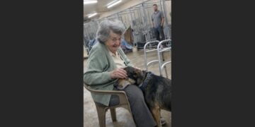 Charlie Had Been Returned Twice for Being “Too Needy”—Then a Widow Walked Into the Shelter Looking for a Dog Who Would Never Leave Her Side