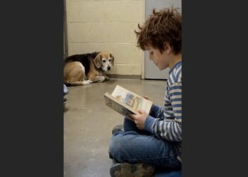 For 63 Days, Mabel Stayed at the Back of His Kennel — Then a Nine-Year-Old Boy Sat Down With a Book