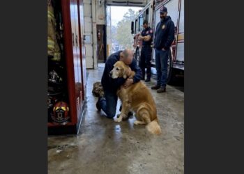 For Eight Months, Murphy Checked the Same Empty Firehouse Locker—Then One Monday Morning, the Man Who Owned Those Boots Walked Back Through the Door