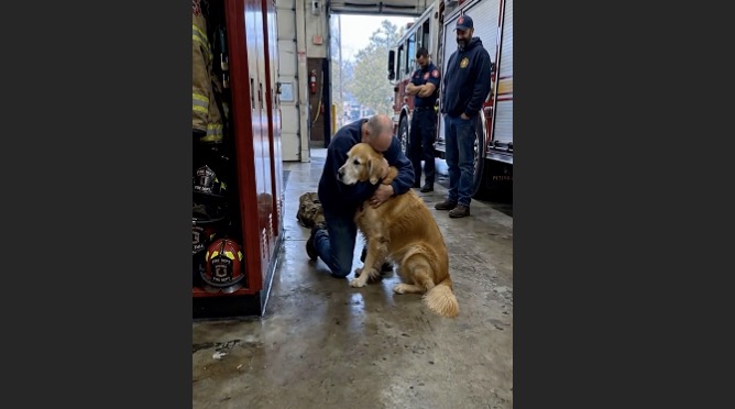 For Eight Months, Murphy Checked the Same Empty Firehouse Locker—Then One Monday Morning, the Man Who Owned Those Boots Walked Back Through the Door