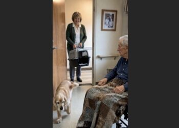 Gene Had Barely Spoken Since Moving Into Assisted Living—Then His 11-Year-Old Cocker Spaniel Came Through the Door