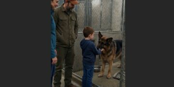 For Seven Years, Noah Avoided Hugs From Everyone He Loved—Then He Walked Into a Shelter Kennel and Wrapped His Arms Around an Older German Shepherd