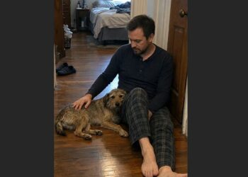 For Three Weeks, Rusty Came to My Repair Shop for Food — Then One Evening, He Stayed Until I Locked the Door