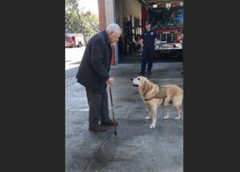 Cooper Broke From the Fire Station Lineup and Limped Toward an Elderly Visitor — Then Someone Recognized the Man