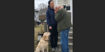 I Promised Mr. Laurent I Would Take His Old Labrador to a Shelter—Then Max Spent Every Day Watching the Road for the Man Who Had Disappeared