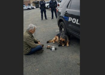 After His K9 Handler Died, a German Shepherd Refused to Leave Their Old Police Car. For Days, He Waited Beside It Until a Retired Officer Sat Down on the Pavement and Stayed.