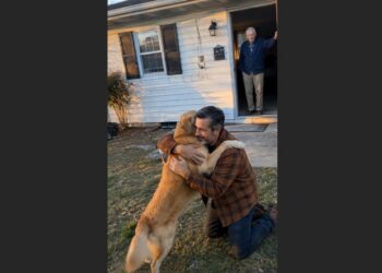 After Six Years in Prison, I Finally Found the Golden Retriever I’d Left Behind. But Another Man Had Loved Him for Five Years, and I Didn’t Know If Max Would Remember Me.