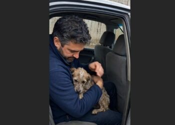 I Heard a Faint Cry Behind a Car Wash and Found a Tiny Dog With a Badly Injured Leg. Three Weeks Later, His Microchip Revealed the Heartbreaking Reason He Was Alone.