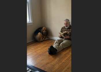 For Six Evenings, My Husband Sat on the Floor Reading to a Basset Hound Who Was Terrified of Men. On the Sixth Night, Oscar Finally Walked Across the Room and Rested His Head in His Lap.