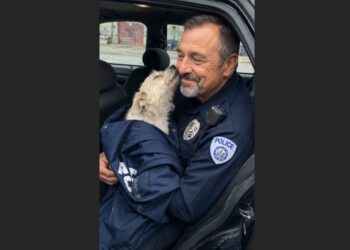 A 52-Year-Old Police Officer Had Just 32 Minutes Left Before Retirement. Then One Final Call Led Him to a Starving Dog Who Had Been Missing for Eight Months.