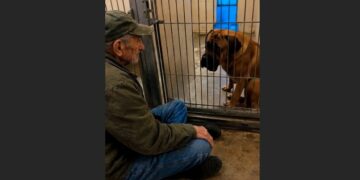 At 75, I Had Lived Alone for 14 Years After Losing My Wife. Then I Found a Forgotten Dog in the Last Kennel of a Shelter—and Three Weeks Later, He Finally Reached for My Hand.