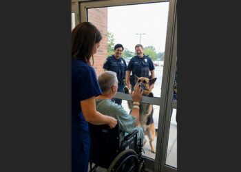 After Five Years Together, a Police K9 Refused to Settle When His Handler Was Rushed to the Hospital. At 7:15 the Next Morning, He Saw a Familiar Face Behind the Glass—and Lifted His Paw to Meet His Partner’s Hand.