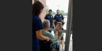 After Five Years Together, a Police K9 Refused to Settle When His Handler Was Rushed to the Hospital. At 7:15 the Next Morning, He Saw a Familiar Face Behind the Glass—and Lifted His Paw to Meet His Partner’s Hand.