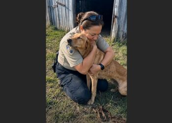 For Seven Years, a Dog Lived Behind the Chained Door of an Abandoned Barn in Texas. When We Finally Let Him Outside, He Did Something in the Grass That Neither of Us Expected.