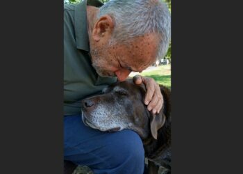 For Four Years, I Took the Same Rescue Dog to 27 Adoption Events. Nobody Wanted Him. Then One Afternoon, He Rested His Gray Muzzle on My Knees—and I Realized I’d Been Trying to Give Away My Best Friend.